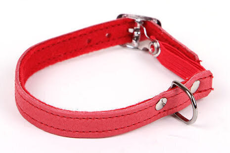 Kattunge halsband Röd
