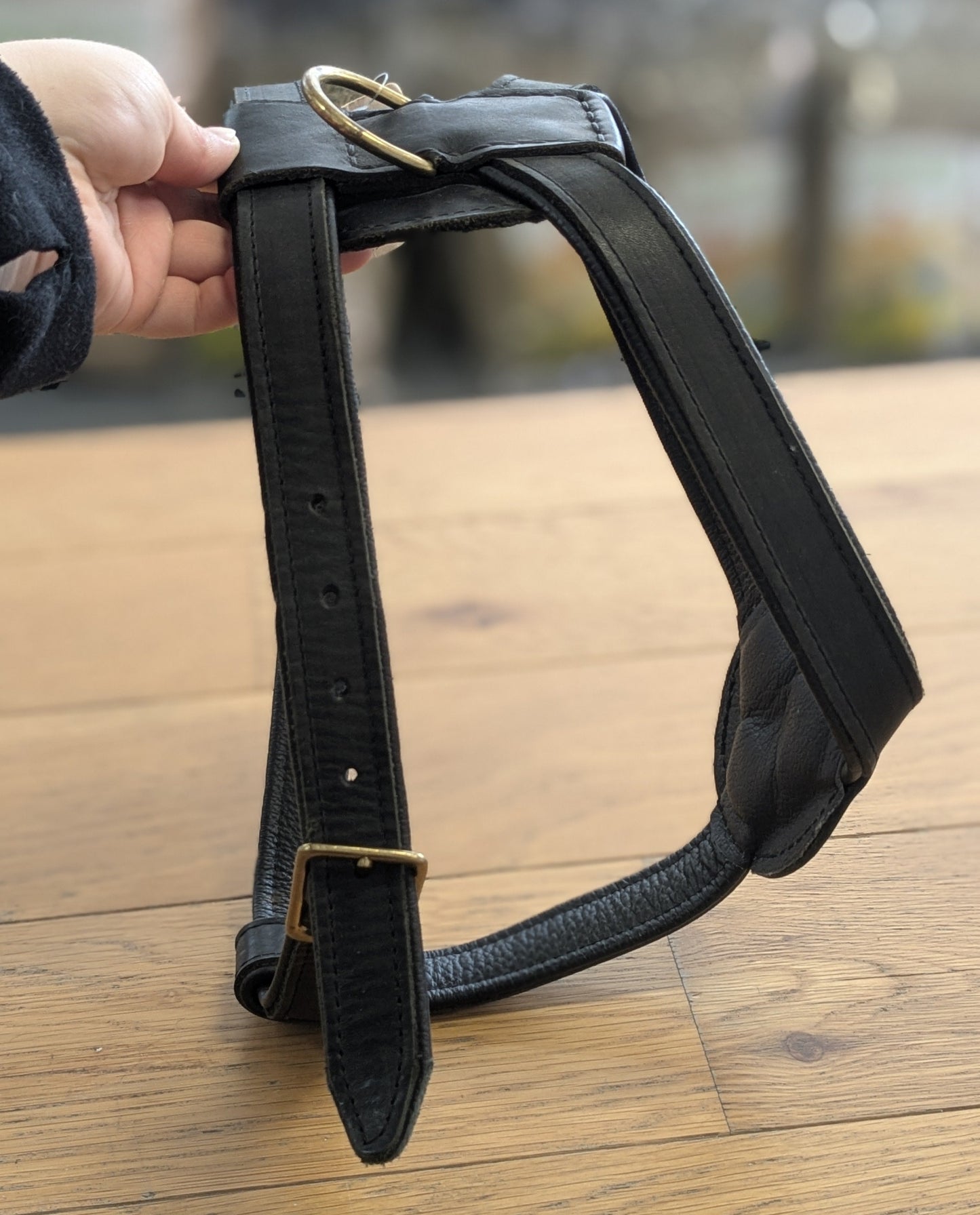 Timely harness letther black