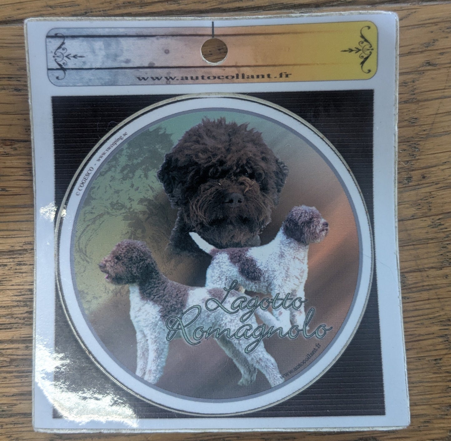 Dekal lagotto romagnolo