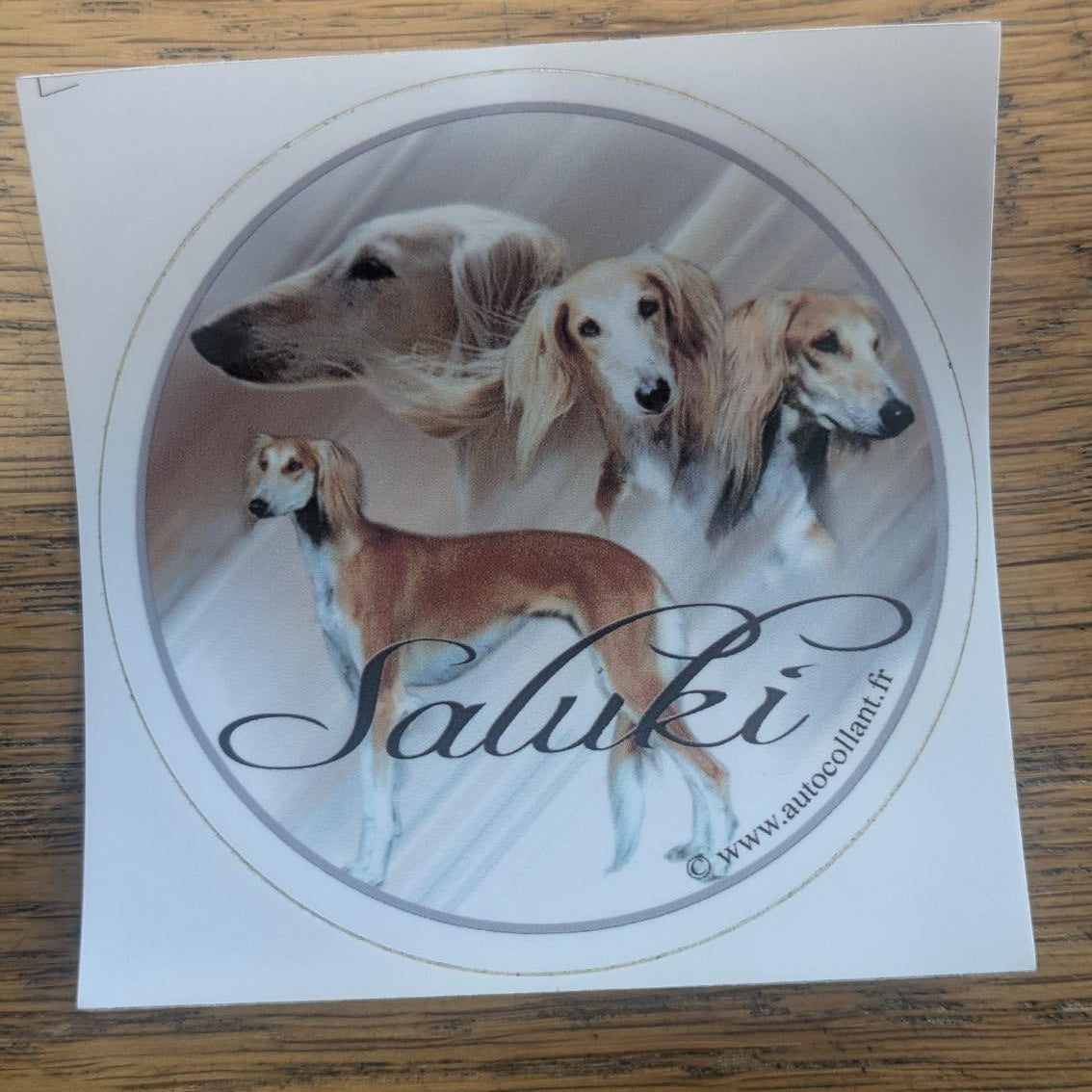 Dekal saluki
