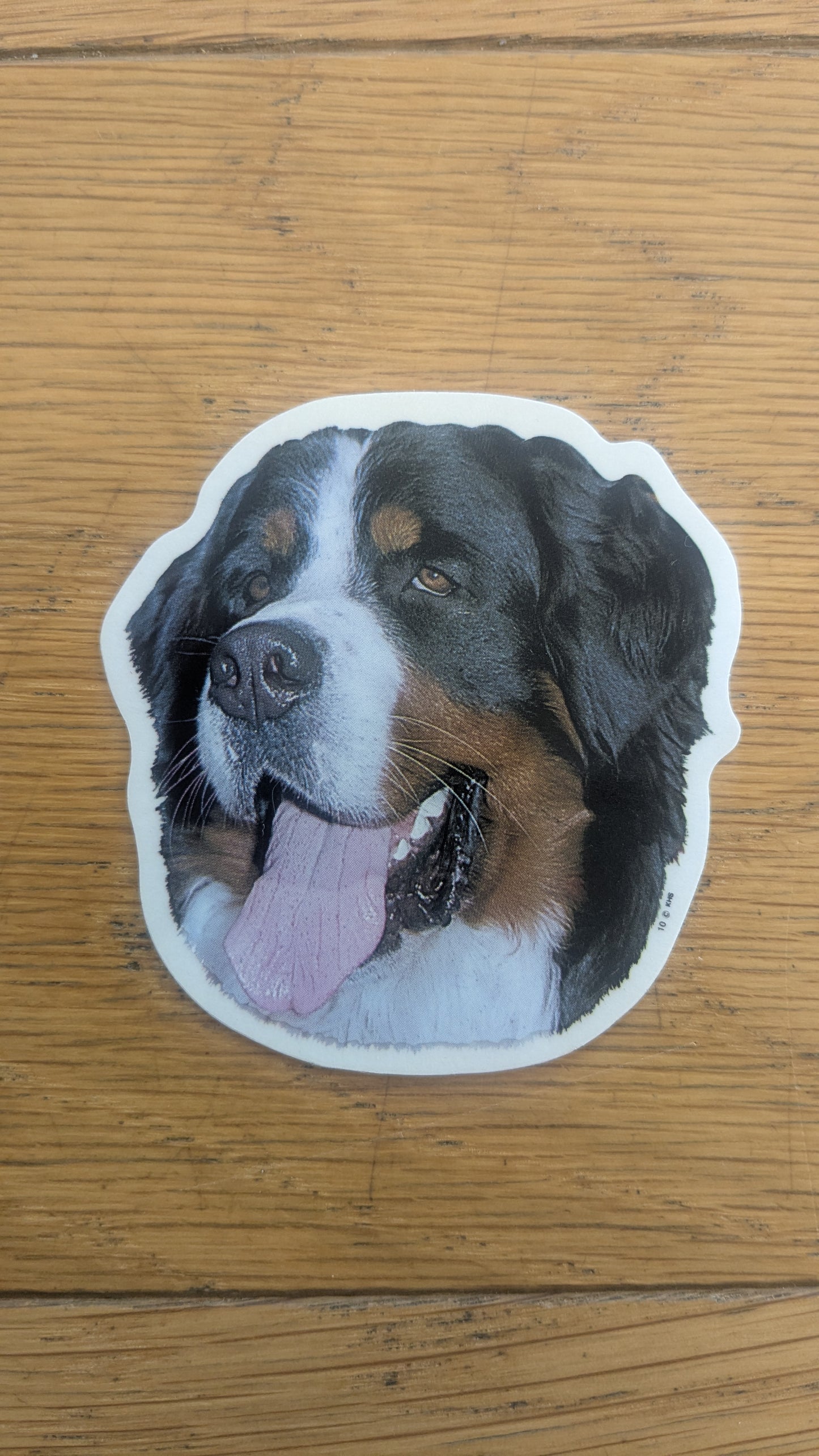 Dekal Liten Berner senner