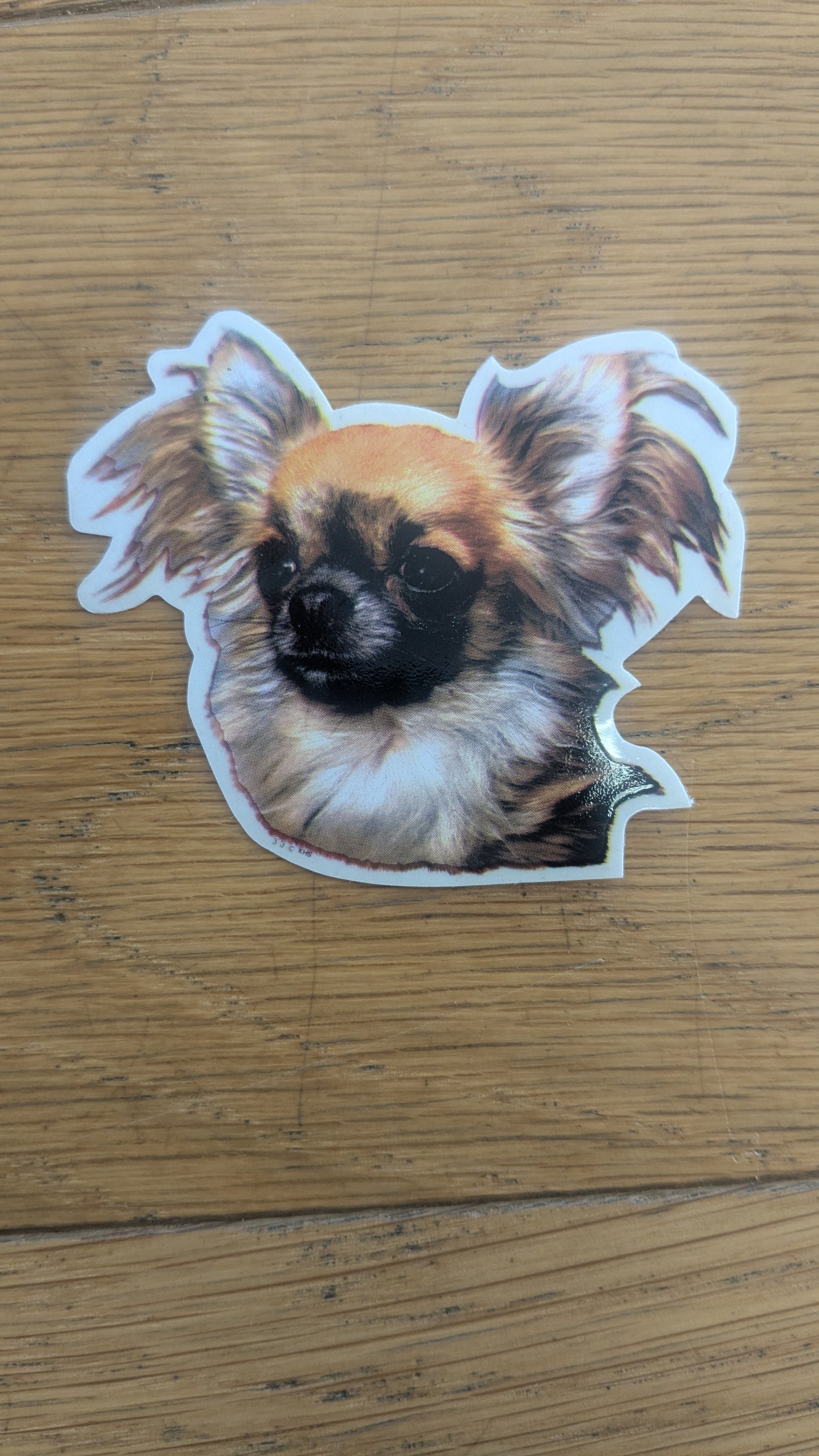 Dekal Liten chihuahua