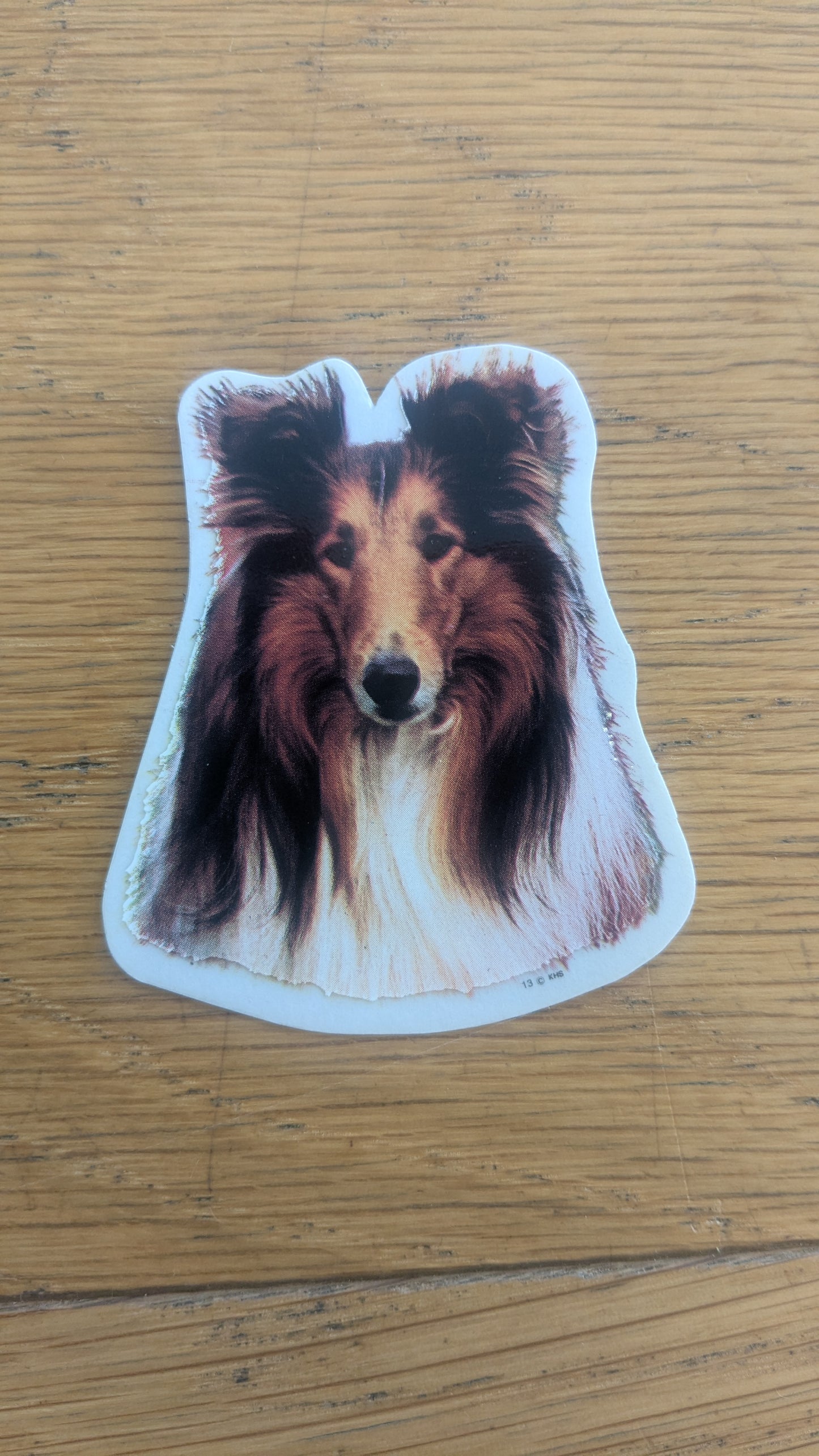 Dekal Liten collie