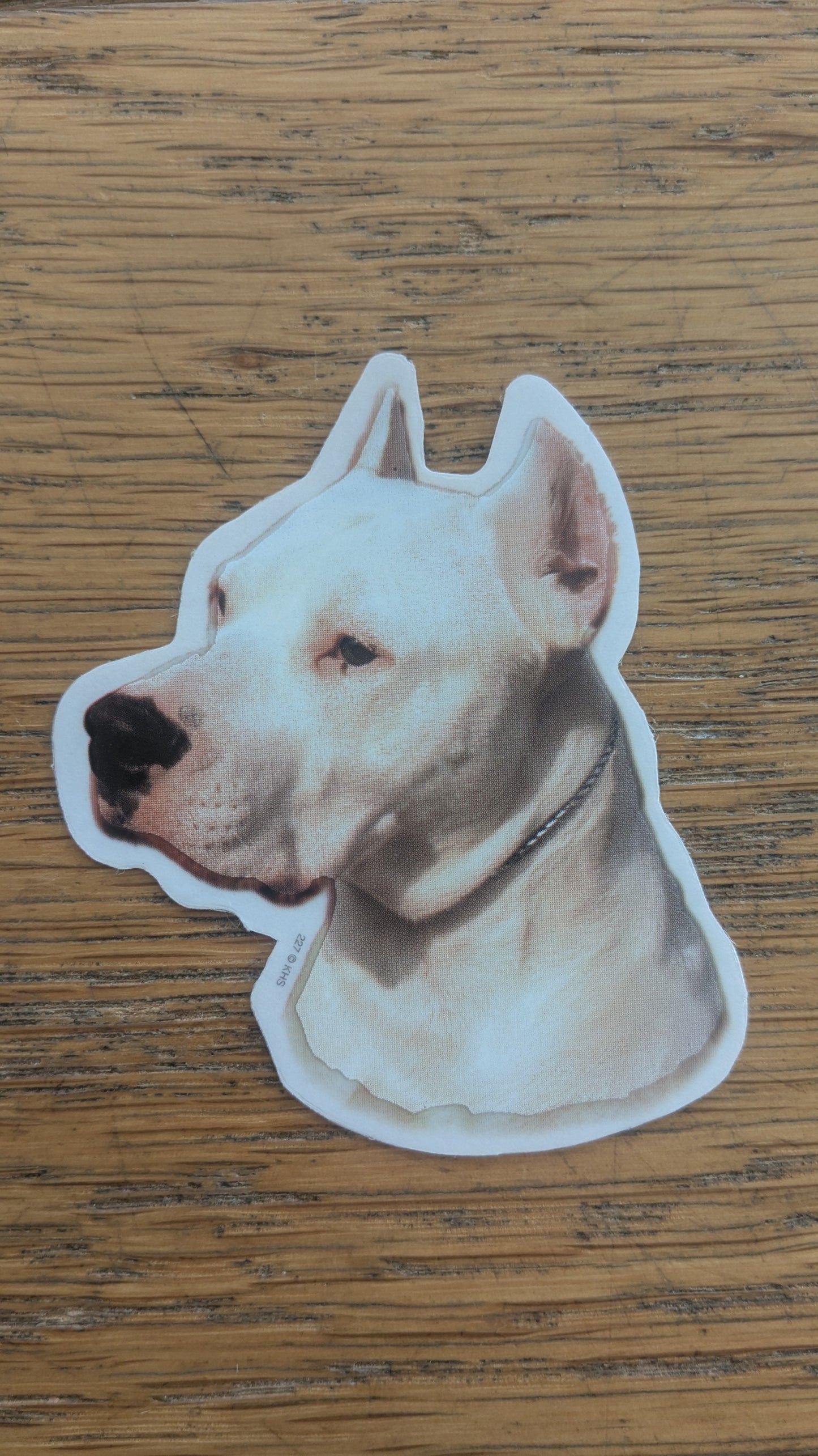 Dekal Liten Dogo argentino