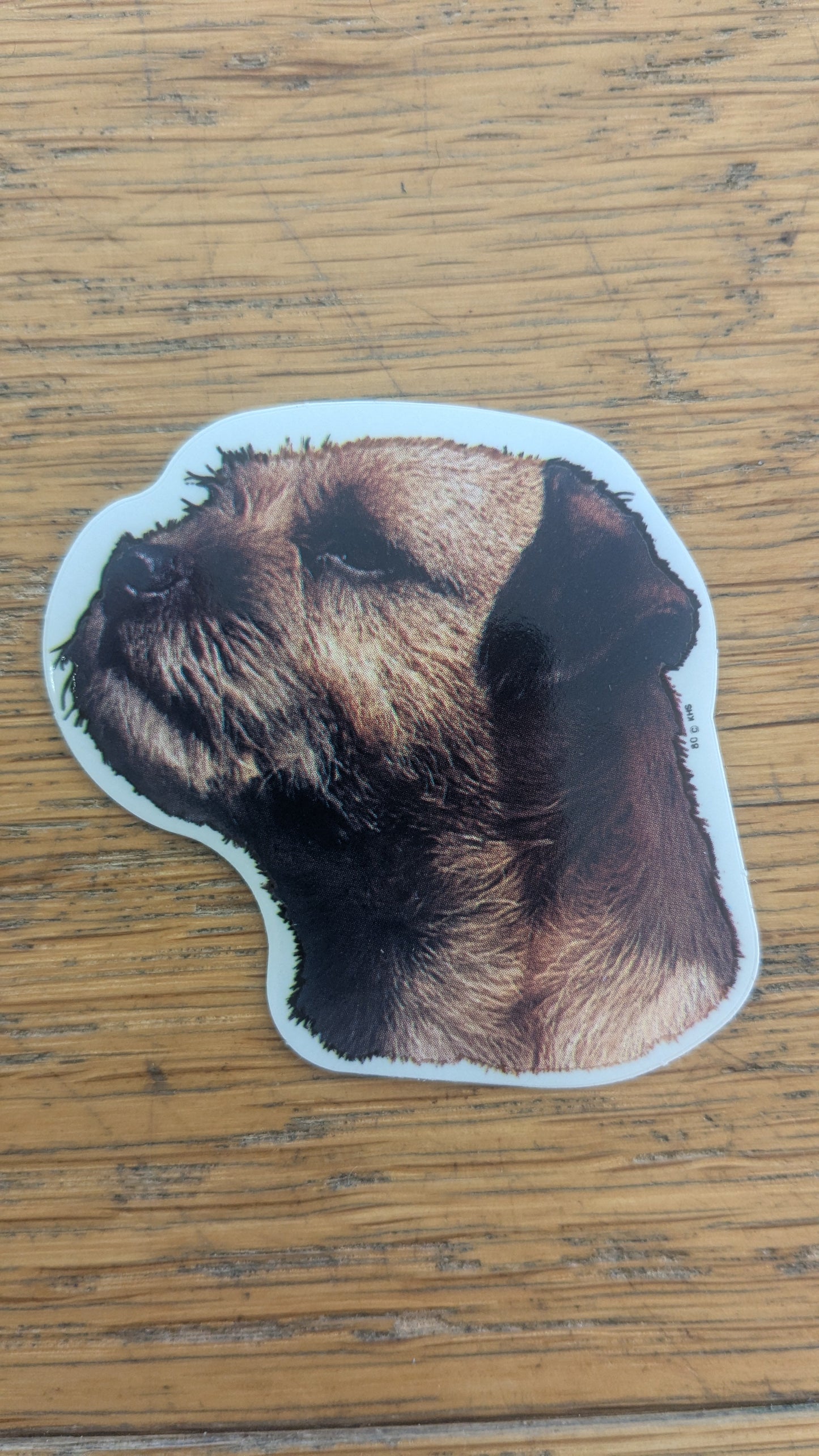 Dekal Liten border terrier
