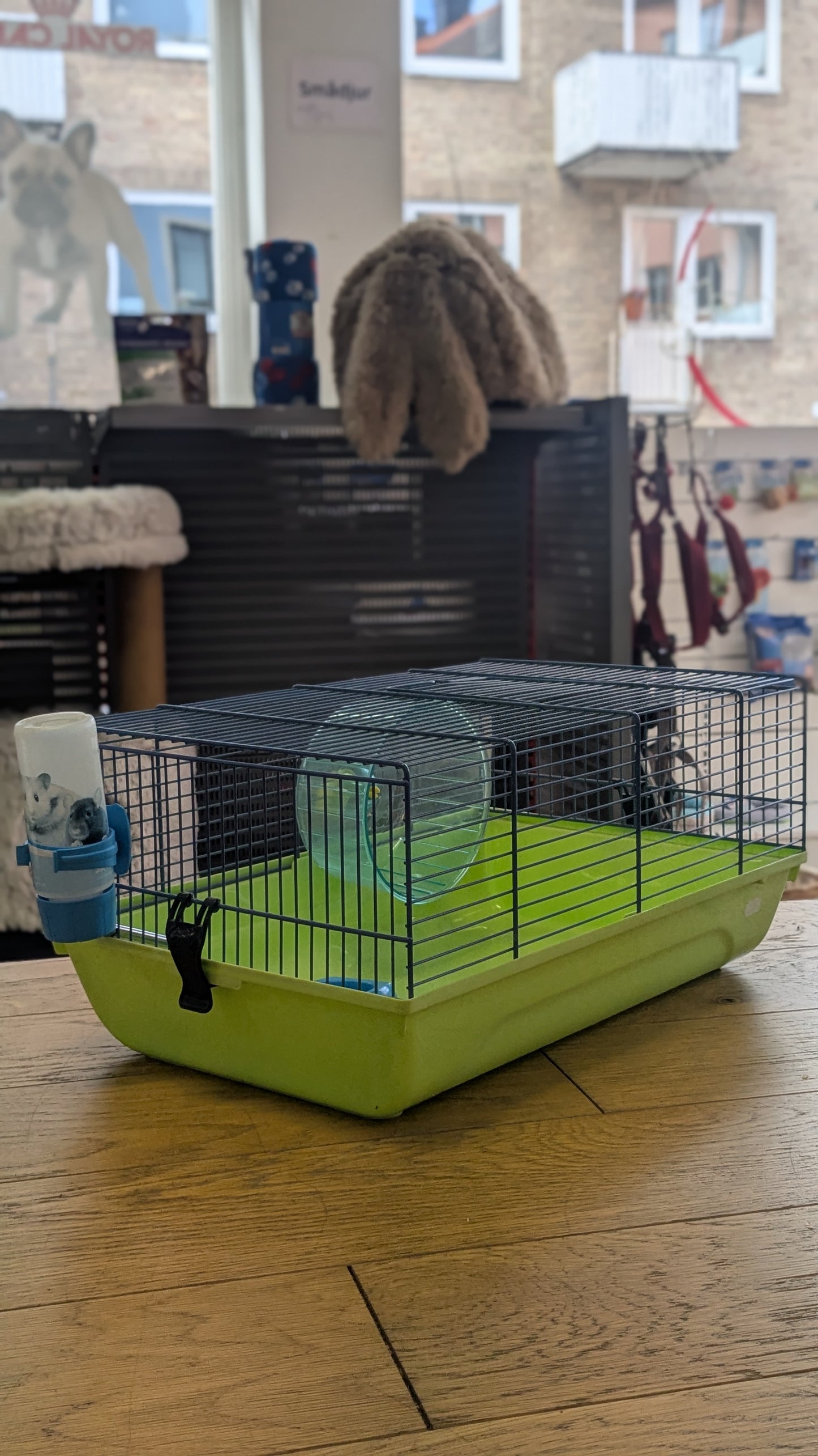 SAVIC Martha Hamster Bur, 46.5 x 29.5 x 21 cm, Grön/ Fuchsia
