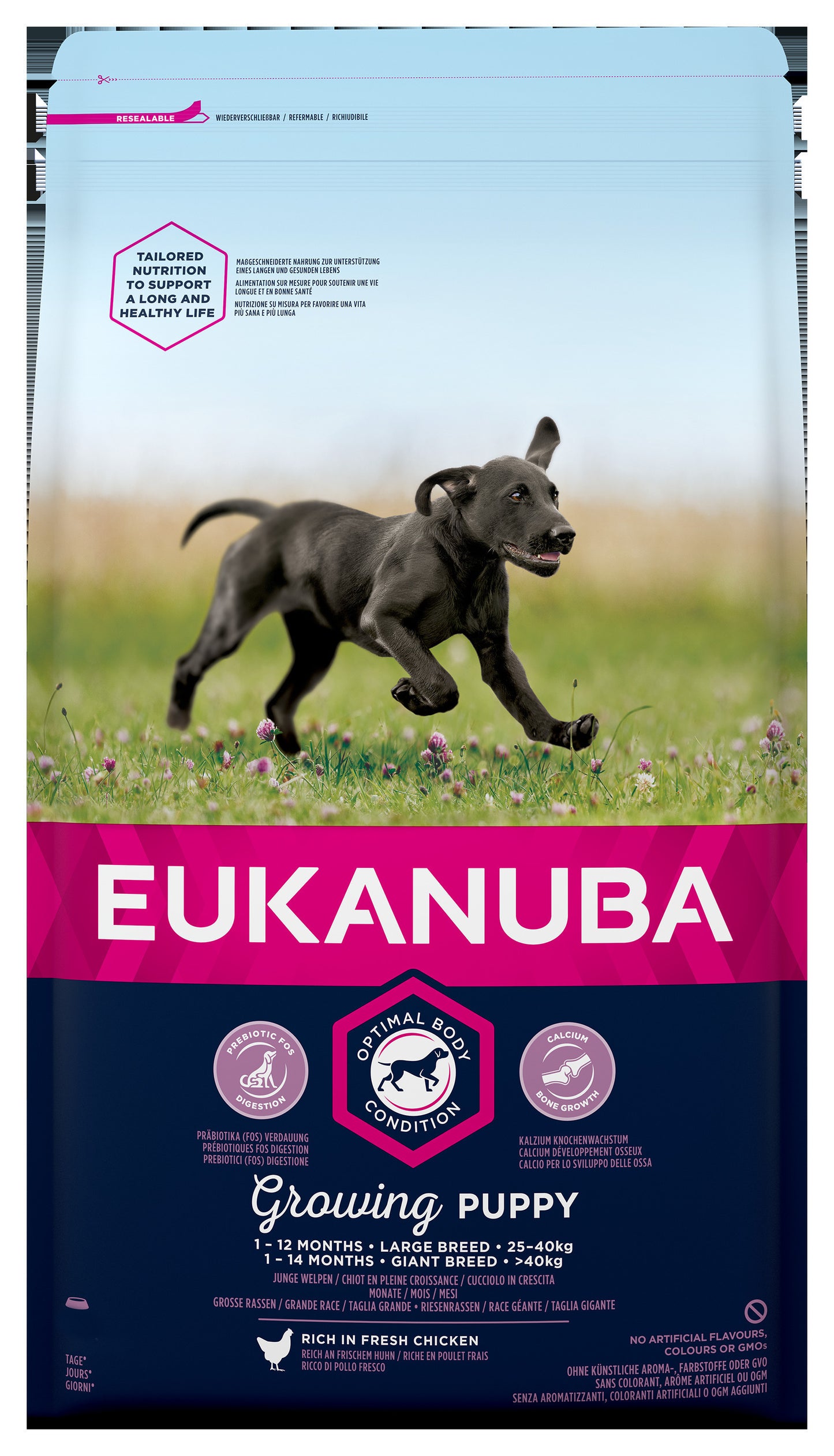 Euk Dog Puppy Large