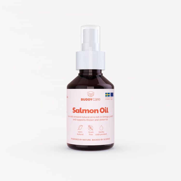 Salmon Oil 100ml