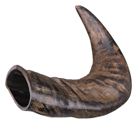 Tugghorn buffel