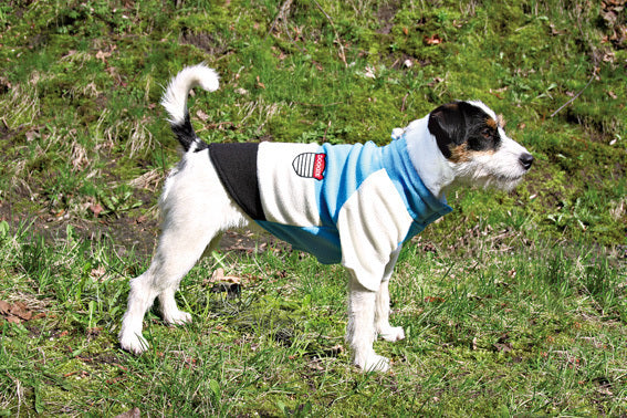 Hundpullover Toronto Blå/Vit/Sv.