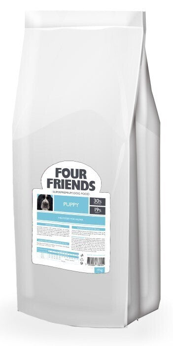 FourFriends puppy