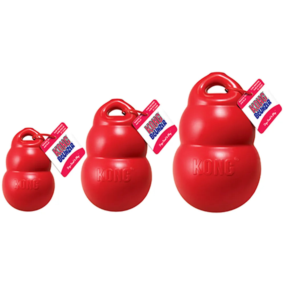 Kong Bounzer M