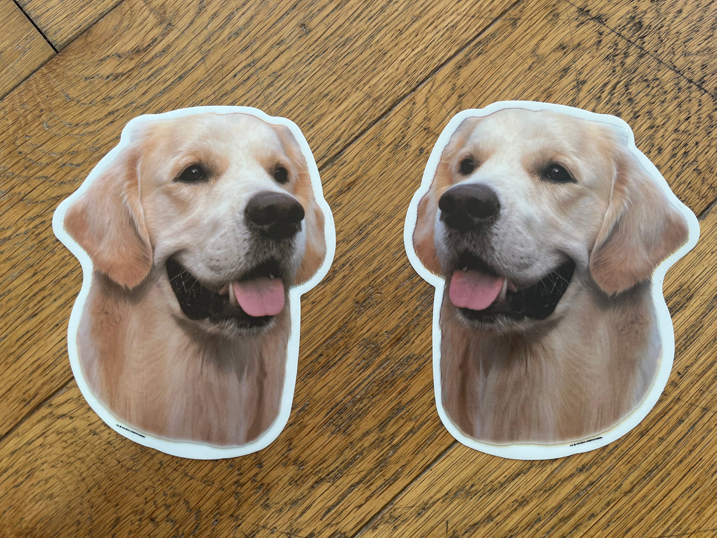 Dekaler Golden Retriever 2-pack