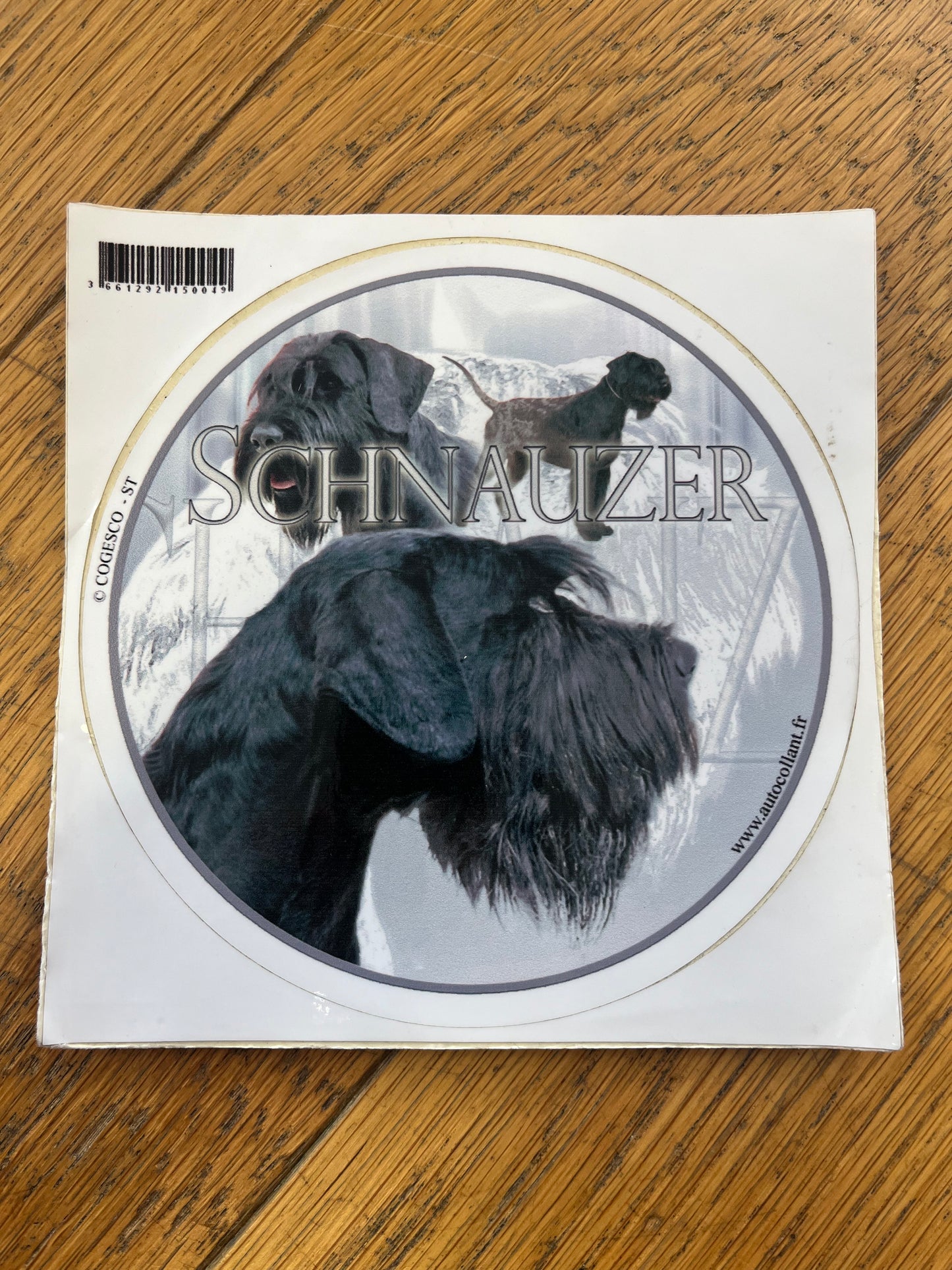 Rund Dekal Schnauzer