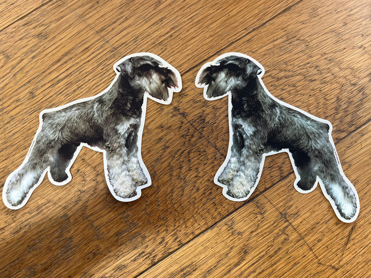 Dekal Schnauzer helkropp 2-pack