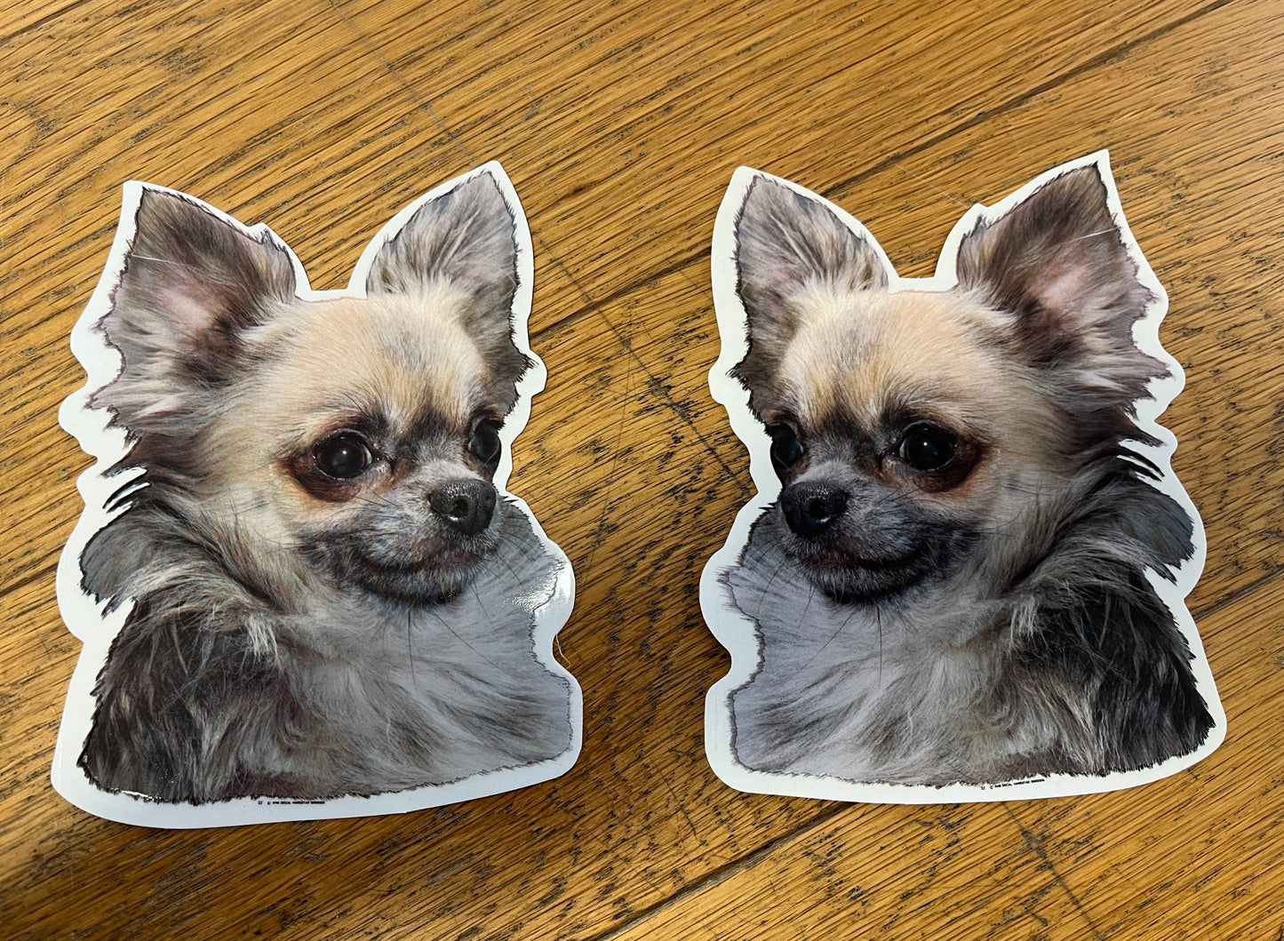 Dekaler Chihuahua 2-pack