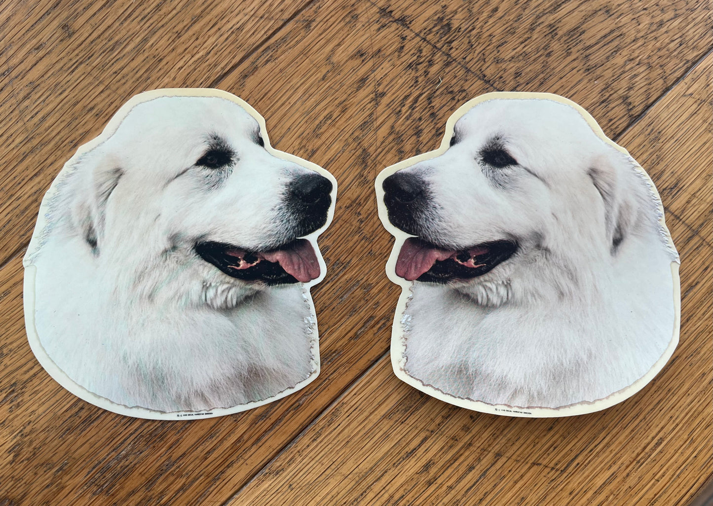 Dekaler Pyreneerhund 2-pack