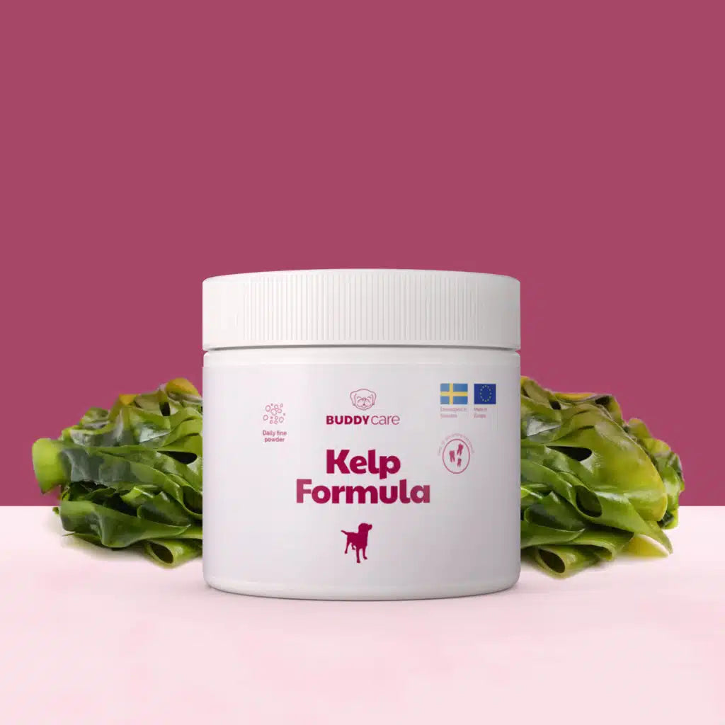Kelp formula
