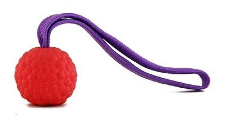 BOLL "Raddog", ögla BLÅ