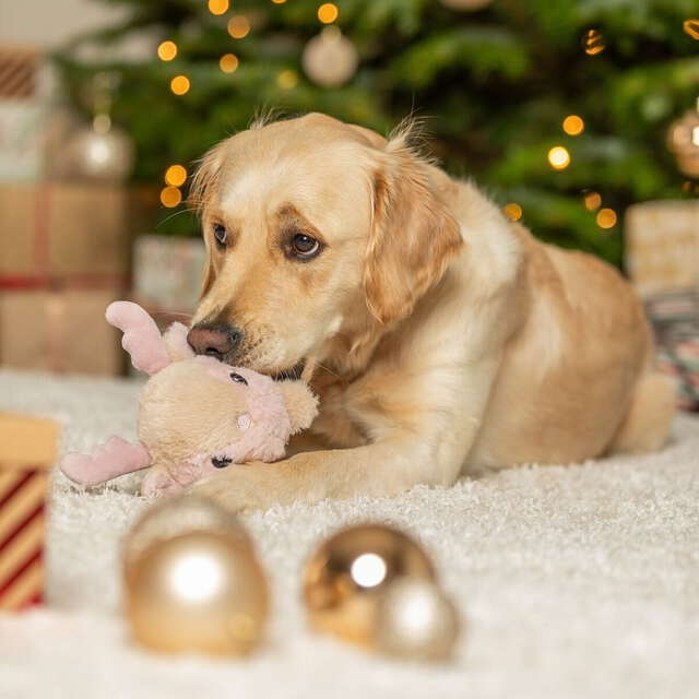 Mjukisdjur Julren Med Pip