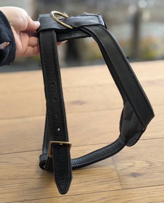 Timely harness letther black
