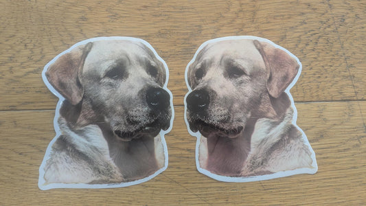 Dekal Labrador ljus 2-pack