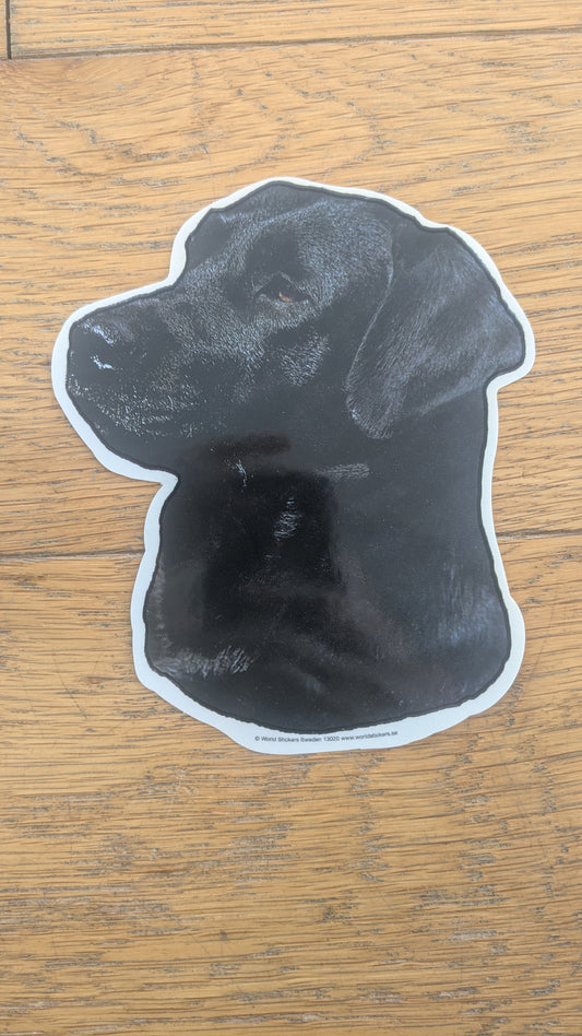 Dekal Labrador svart M 2-pack