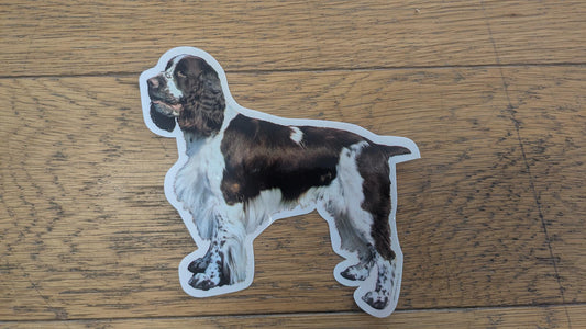 Dekal springer spaniel