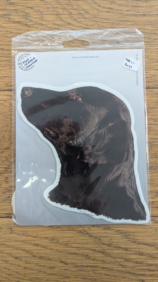 Dekal Flat coated retriver 2-pack spegelvända