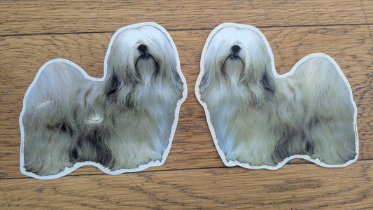 Dekal Lhasa apso 2-pack spegelvända