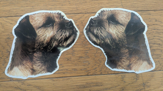 Dekal Border terrier 2st spegelvända