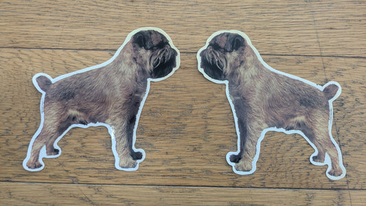 Dekal Border terrier 2st spegelvända