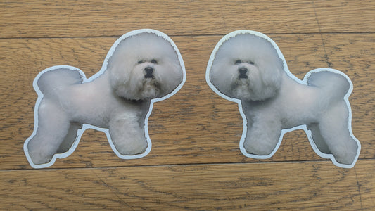 Dekal Bichon frise 2st spegelvända