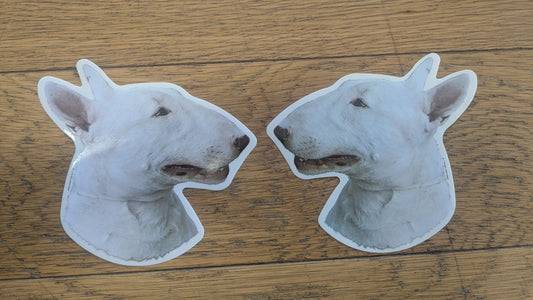Dekal Bull terrier 2st spegelvända
