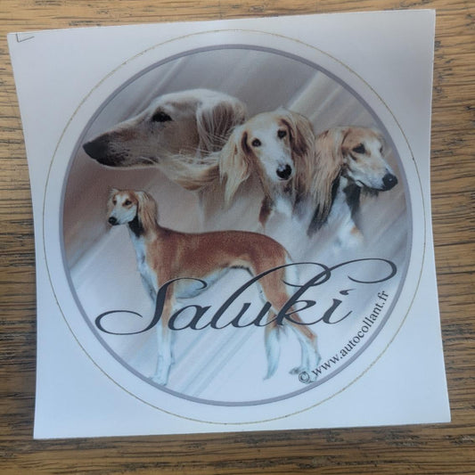 Dekal saluki