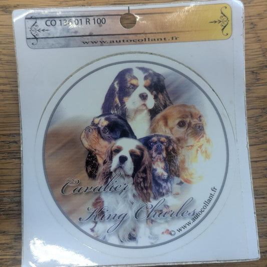 Dekal cavalier king charles