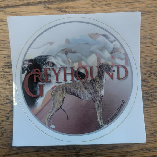 Dekal greyhound