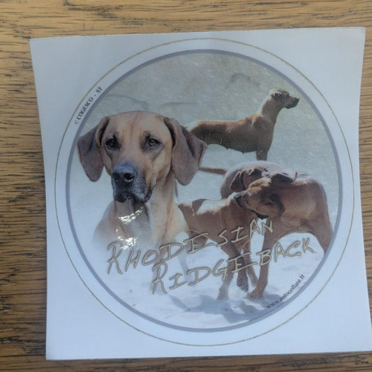 Dekal Rodesian ridgeback
