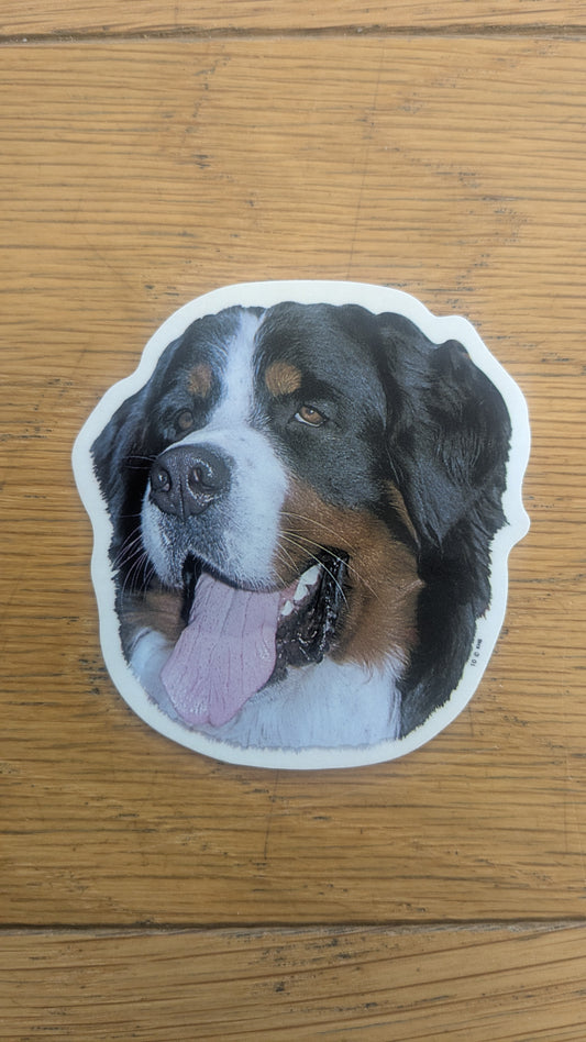 Dekal Liten Berner senner