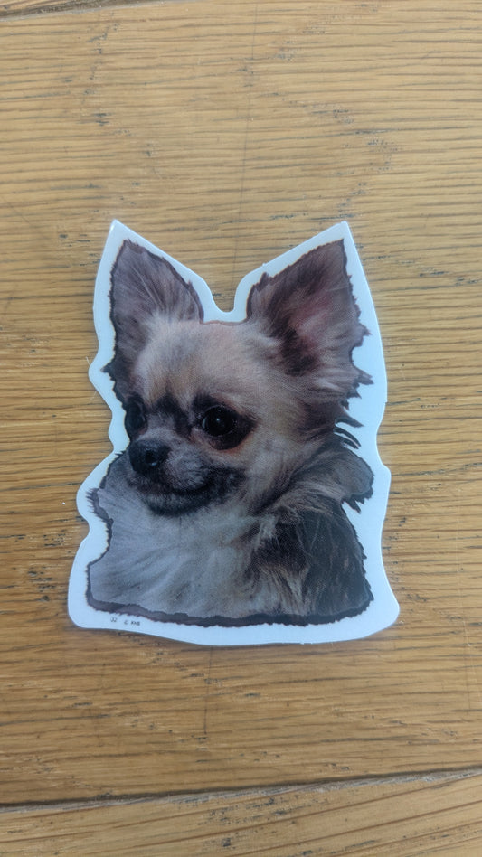 Dekal Liten chihuahua