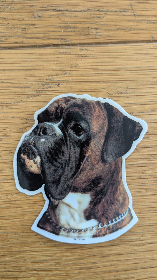 Dekal Liten boxer