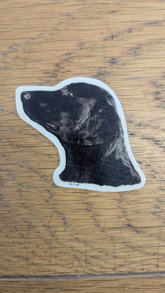 Dekal Liten Flat coated retriver