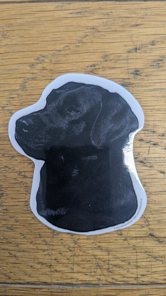 Dekal Liten Svart labrador