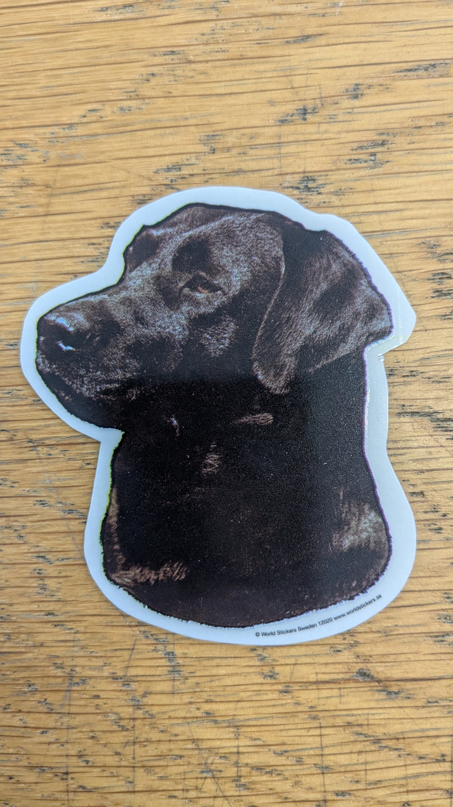 Dekal Liten Svart labrador