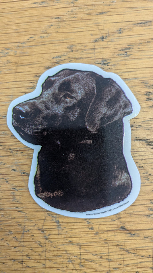 Dekal Liten Svart labrador