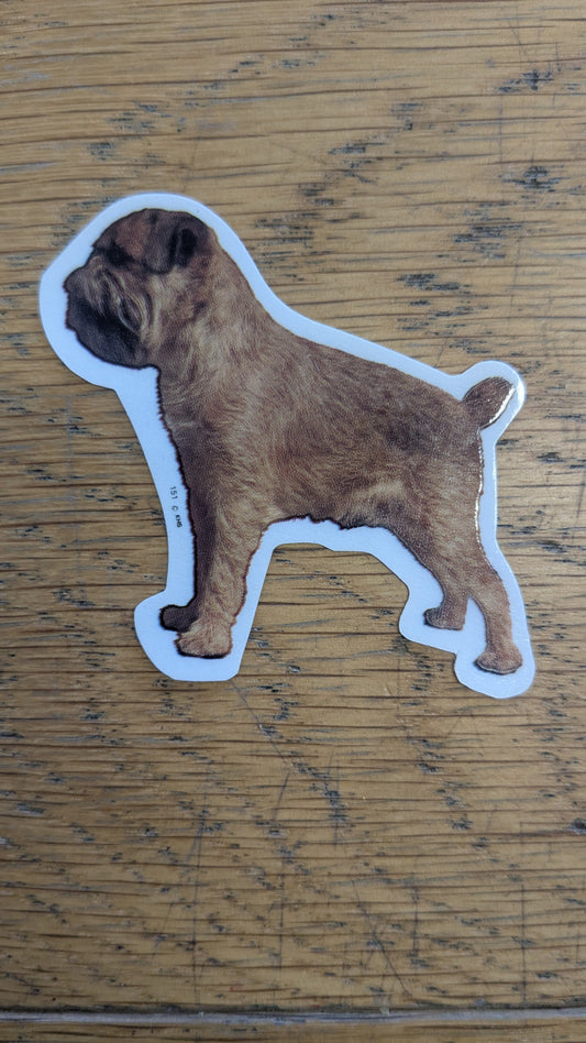 Dekal Liten Border terrier