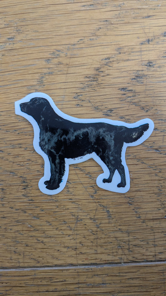 Dekal Liten Flat coated retriver