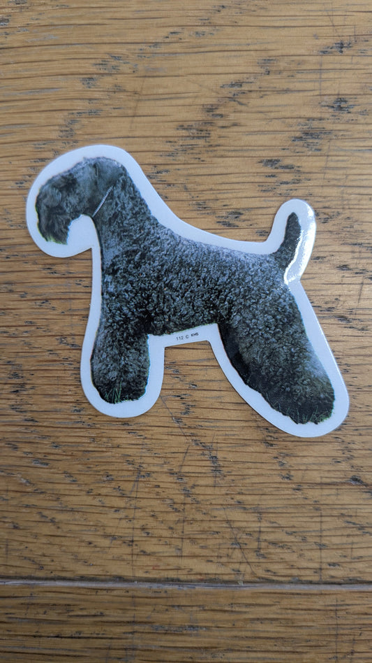 Dekal Liten irish kelly blue terrier