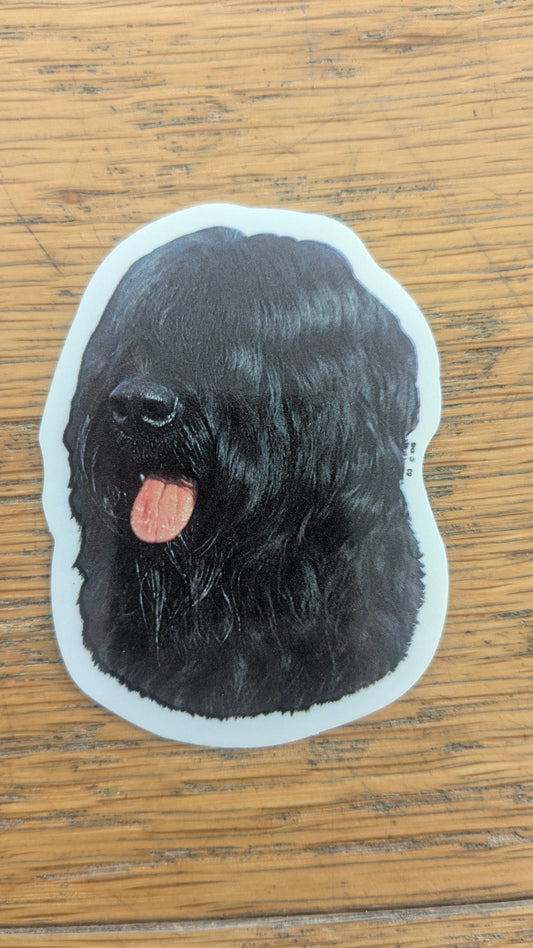 Dekal Liten briard