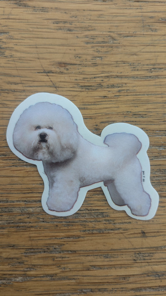 Dekal Liten bishon frise